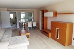 Salon1